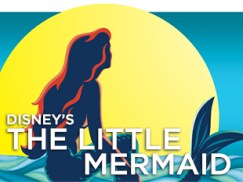 LMER_PlaysAndEvents_310x233