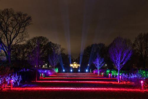 12063501_10153794717597612_6330879480783497864_n