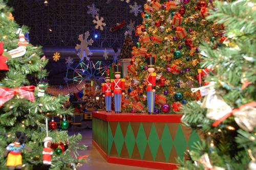 12227716_10154491033253438_8228710226763389746_n