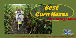 corn-mazes