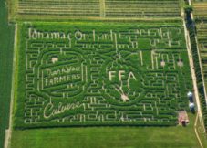 maze_2016_final-300x214