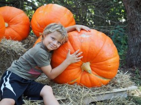 22016533_1676133332404882_1529551104_n